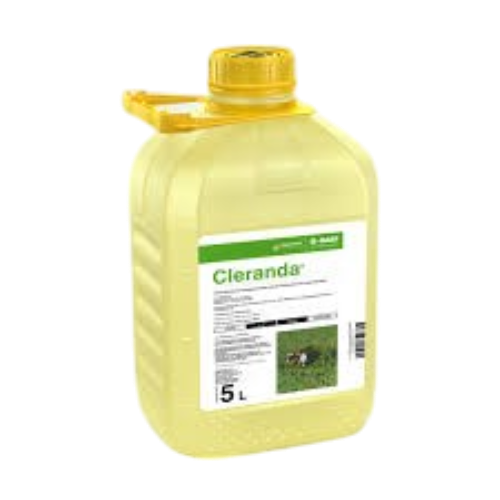CLERANDA