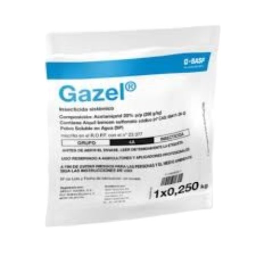 GAZEL