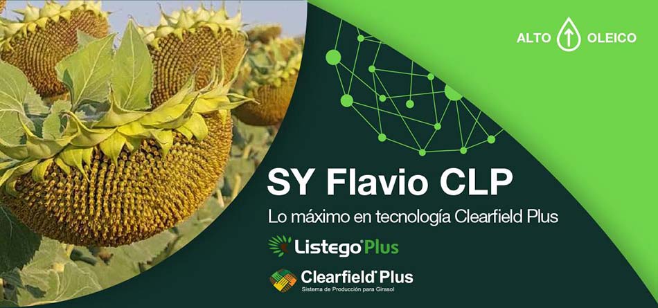 SY Flavio CLP Piensos Apag