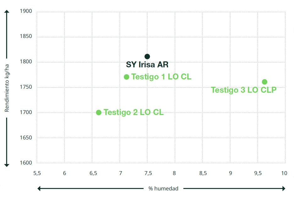 Gráfico SY Irisa AR Piensos Apag