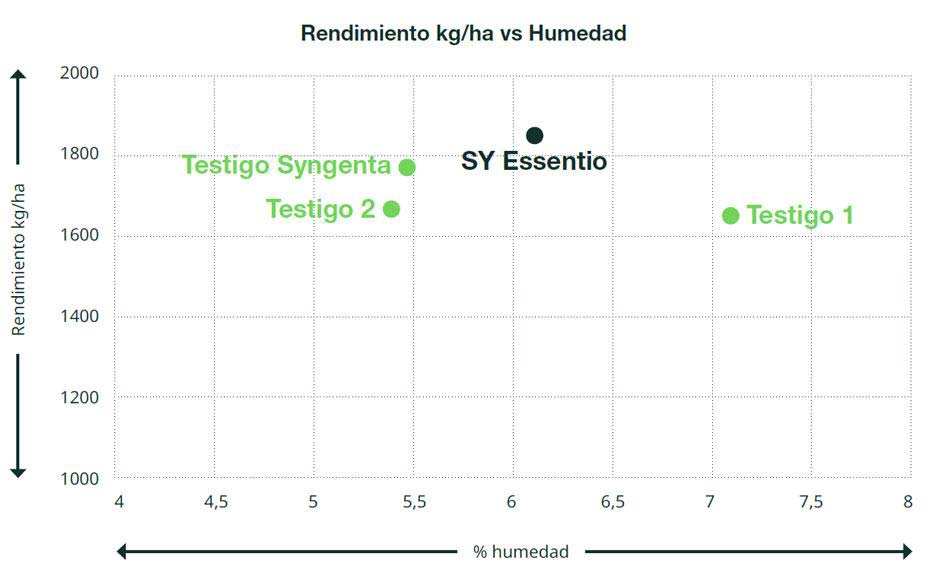 Gráfico Sy Essention 2022-24