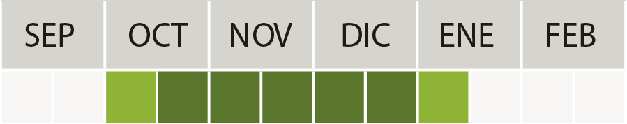 Época de siembra Avena KBIRA