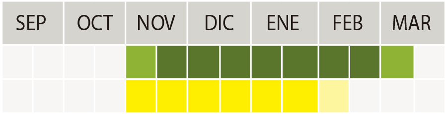 Época de siembra cebada Thalis