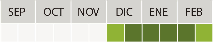 Época de siembra Ostinato