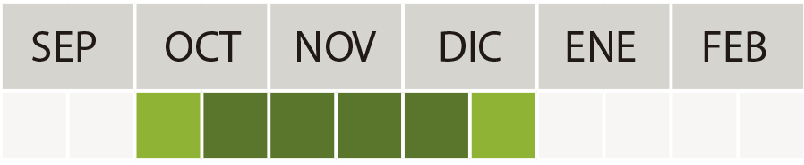 Época de siembra SOFRU