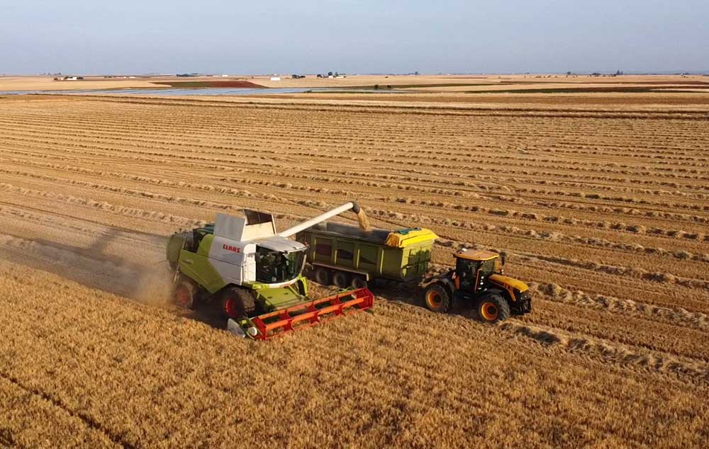 Servicio de trabajo agrícola recolección Imagen Servicio de trabajo agrícola