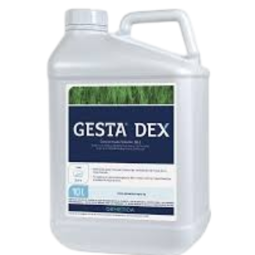 GESTA DEX