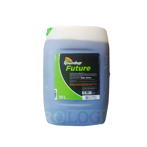 ROUNDUP FUTURE